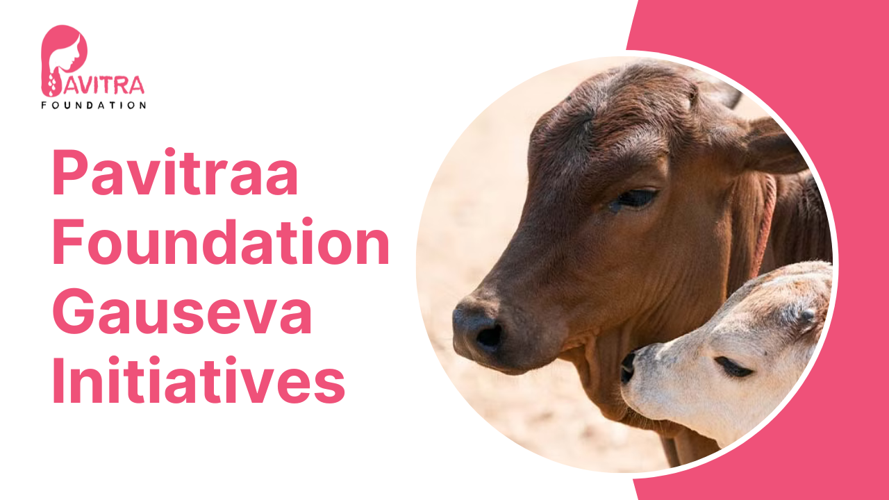 Exploring Pavitraa Foundation’s Gauseva Initiatives